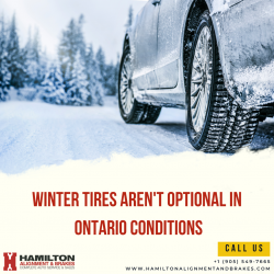 News Story Thursday, November 20, 2025