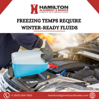 News Story Thursday, November 27, 2025